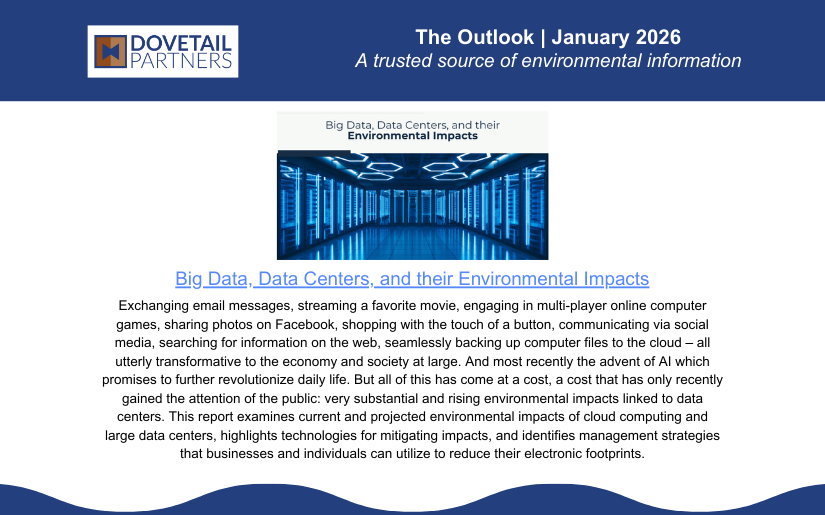 The Outlook | January 2026